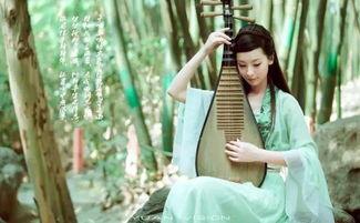 成人琵琶种草好吗视频大全,成人琵琶种草视频大全精选回顾