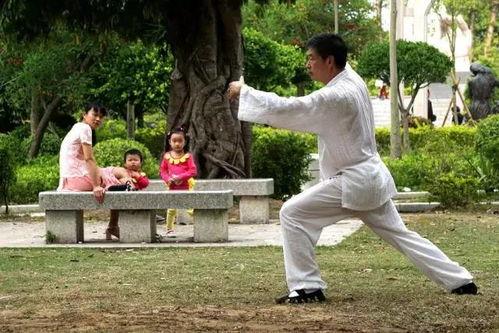 打拳成人自学教程视频,跟随视频教程，轻松掌握打拳技巧