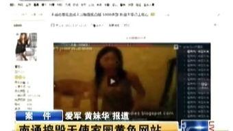 在线成人无毒视频观看,探索无毒成人视频的乐趣与启示