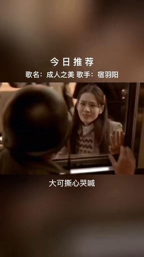 成人之美骗局视频