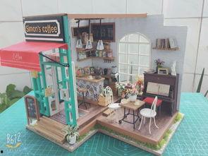 成人拼装diy小屋视频,跟随视频轻松打造个性化家园