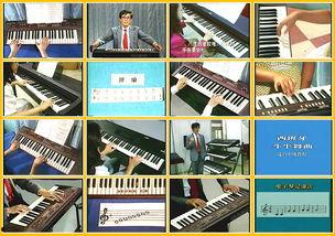 器乐成人教学视频教程,轻松入门,成就音乐梦想