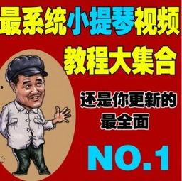 器乐成人教学视频教程,轻松入门,成就音乐梦想