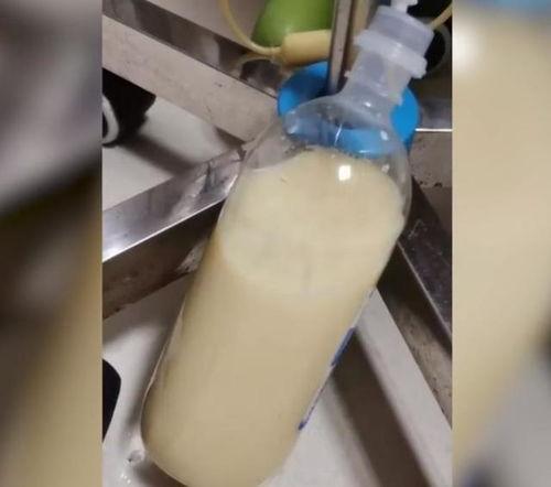 成人ml视频,揭秘激情与欲望的视觉盛宴